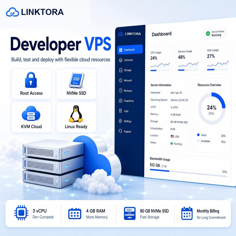 Developer VPS